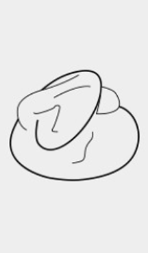 5_2.png